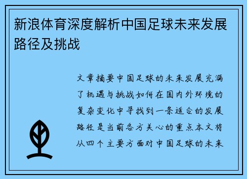 新浪体育深度解析中国足球未来发展路径及挑战
